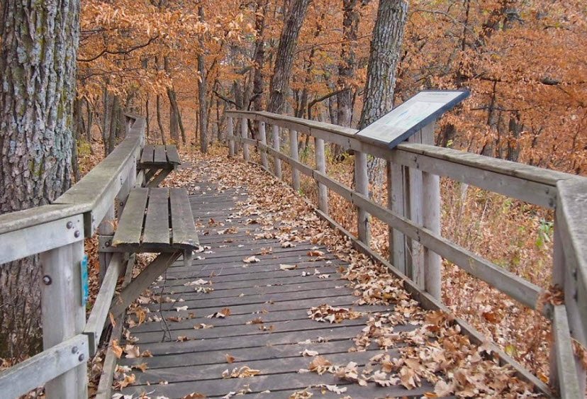 Kilen Woods State Park, Minnesota, USA